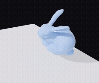 Initial rotation bunny