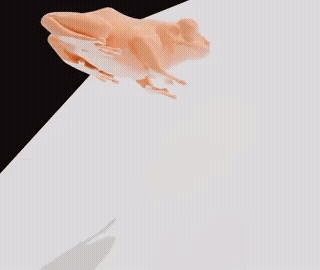 Initial rotation frog