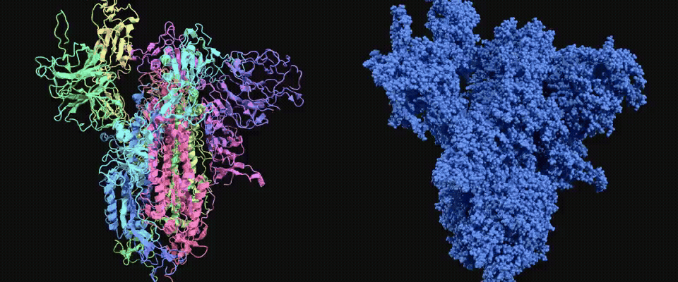 Molecular mesh and particle dynamics comparison